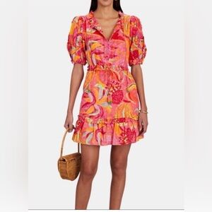 New! Farm Rio Women's Fruit Brush Pink Poplin Mini Dress Size Small #22